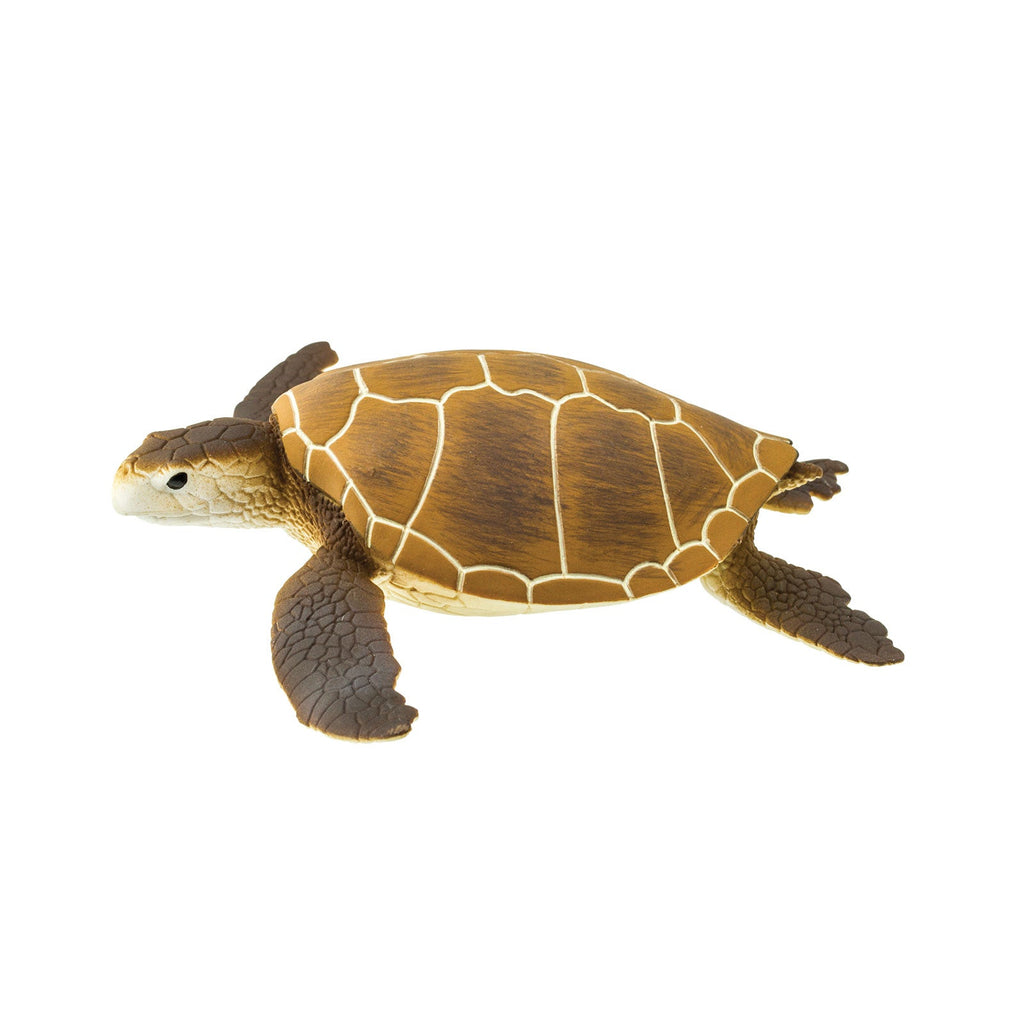 Green Sea Turtle Toy