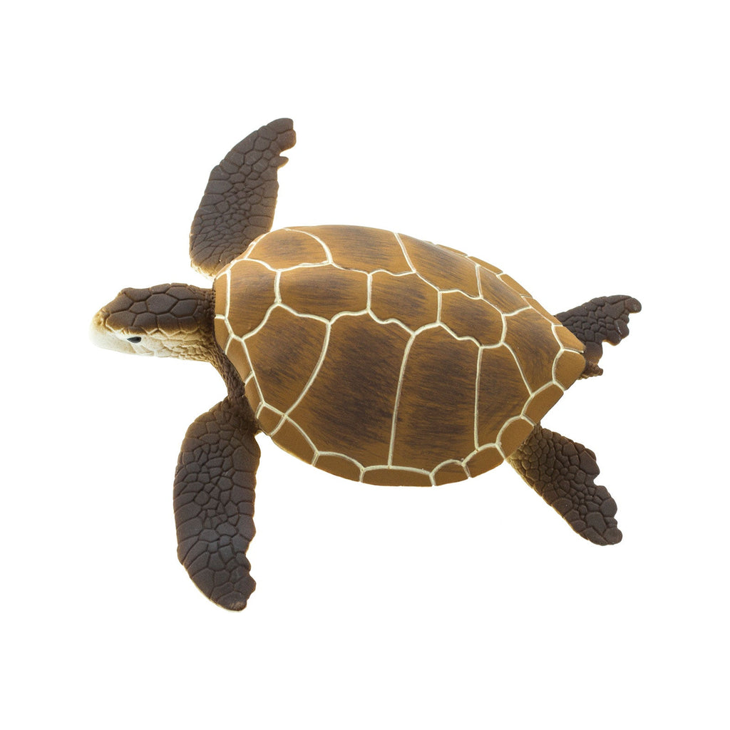 Green Sea Turtle Toy
