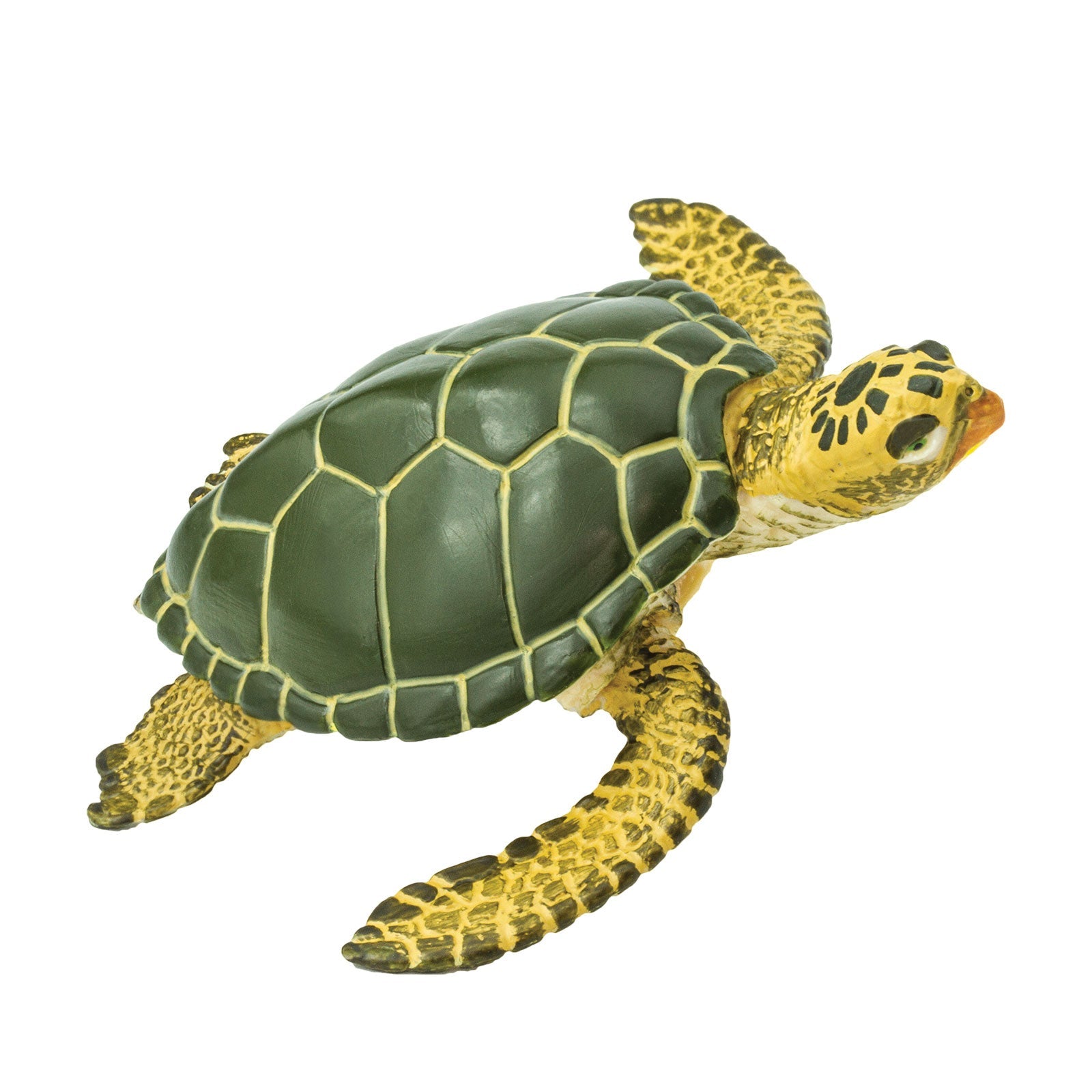 Green Sea Turtle Toy