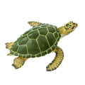 Green Sea Turtle Toy
