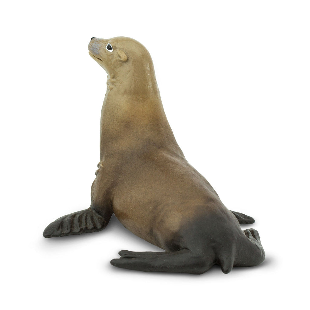 Sea Lion Toy