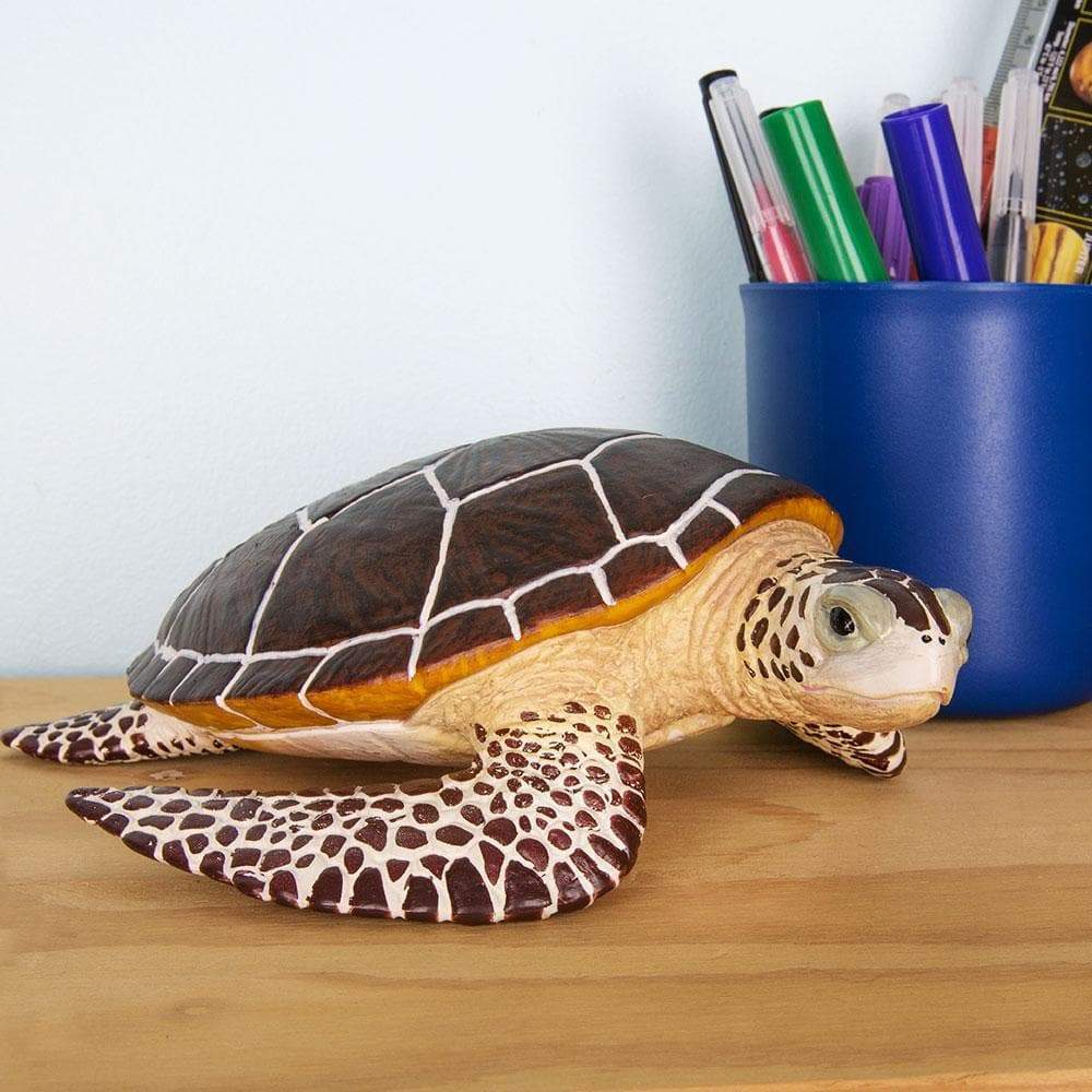 Sea Turtle Toy