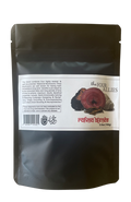 The Four Allies: Reishi, Chaga, Lion's Mane & Cordyceps