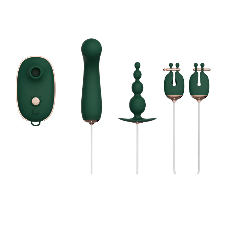 QINGNAN Quartet Sex Toy Kit for Clit, G-Spot, Anal & Nipples