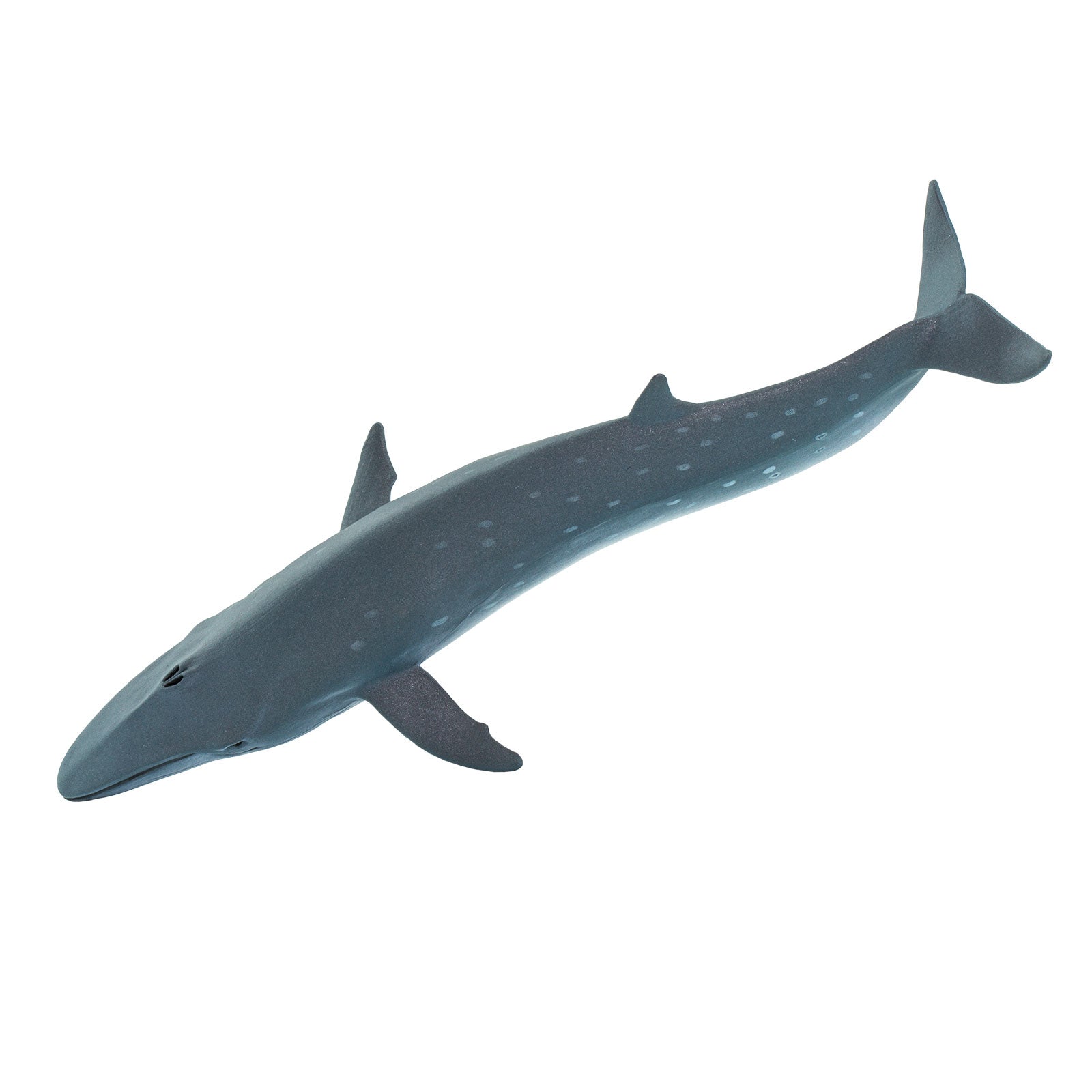 Sei Whale Toy