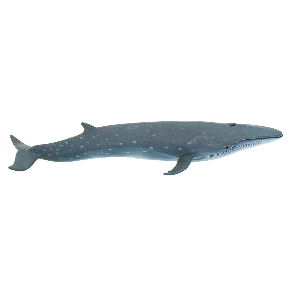 Sei Whale Toy