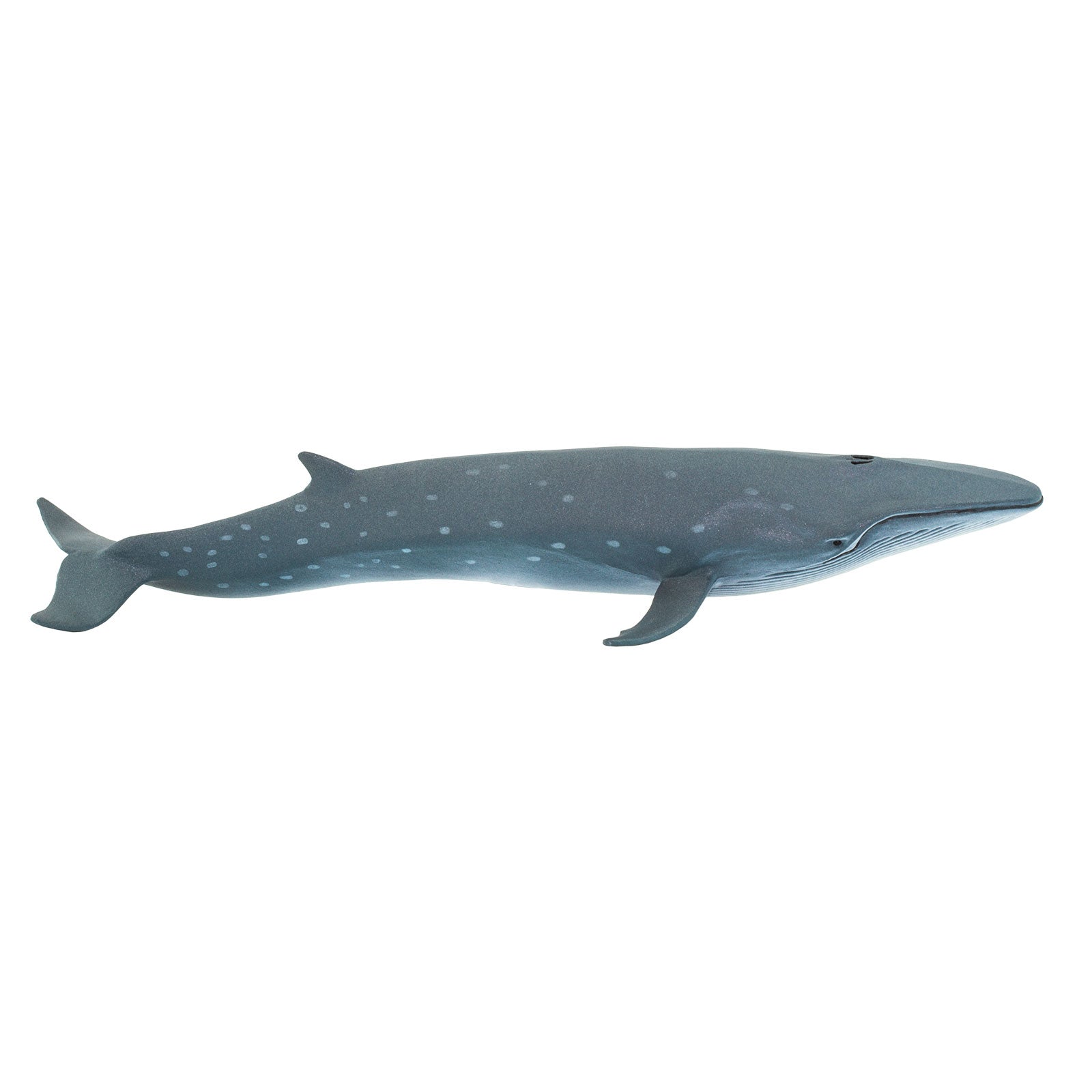 Sei Whale Toy