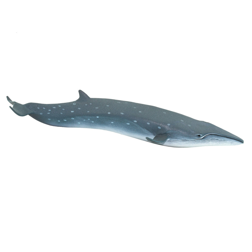 Sei Whale Toy