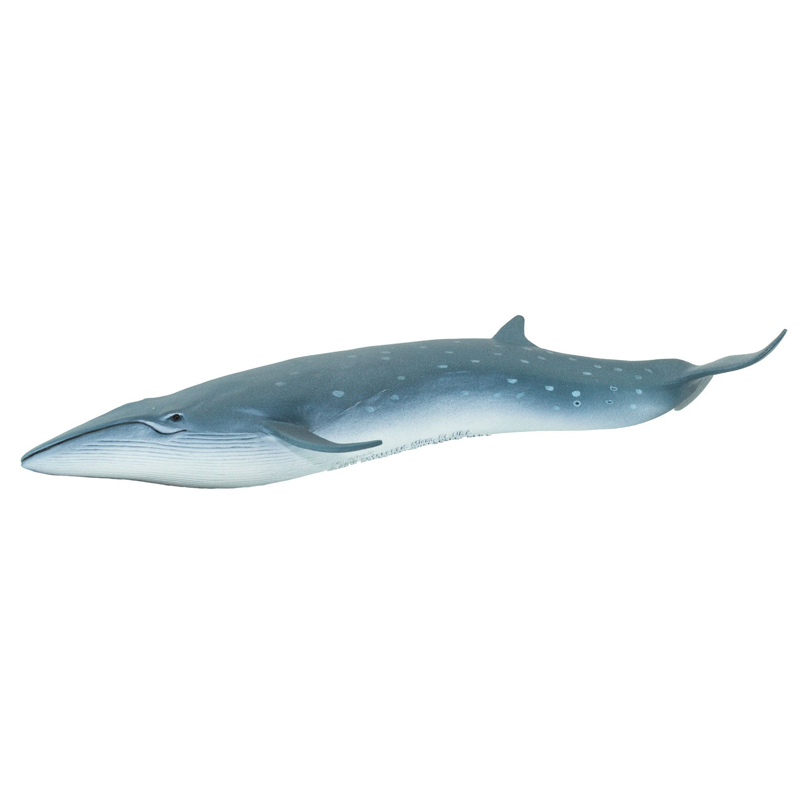 Sei Whale Toy